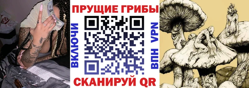 Галлюциногенные грибы мицелий  Облучье 